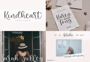 Modern Script Fonts Bundle